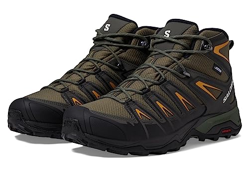 Salomon Men's X Ultra Pioneer Mid Waterproof Hiking Boot T20289
