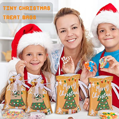 Christmas Gift Bags Assorted Sizes, 22pcs Drawstring Reusable Plastic D786