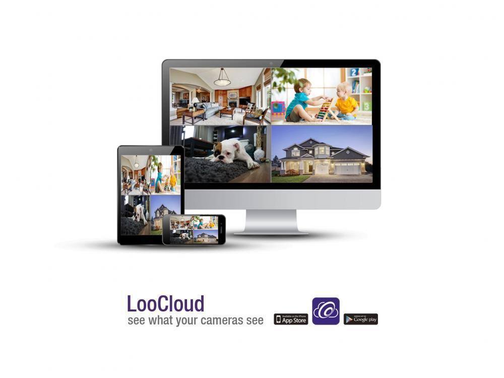 Loocam 1080p 8CH HD-TVI Security Camera System with DVR G4254