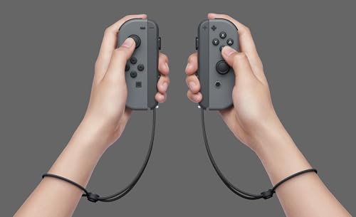 Nintendo Switch with Gray Joy-Con F3674