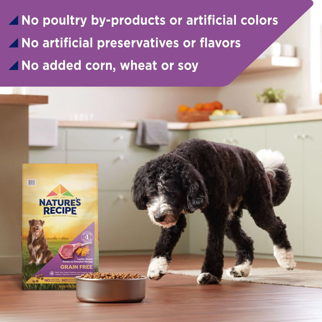 Nature's Recipe Grain Free Dry Dog Food, Lamb, Sweet Potato & Pumpkin, 4 lb. Bag E62389