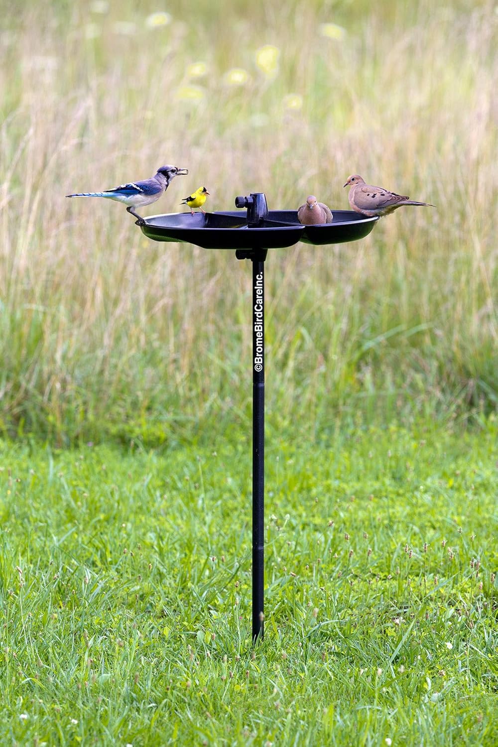 Seed Catcher Tray for Wild Bird Feeders, Fits 1-Inch Straight Pole, Pack of 2 V529