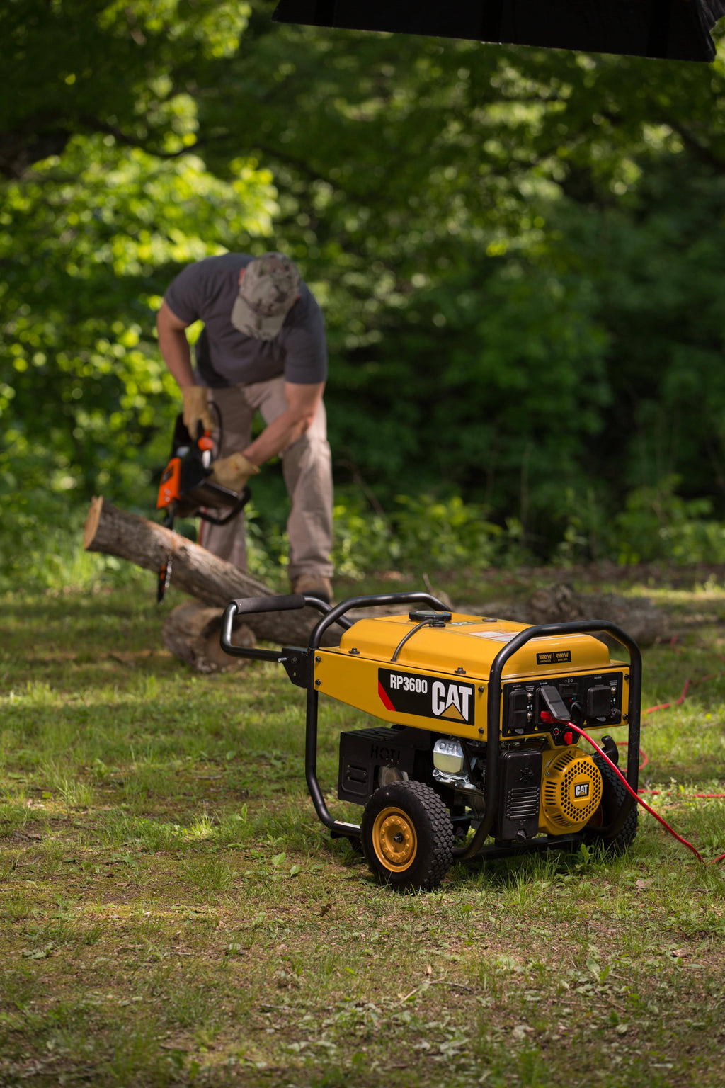 Cat Rp3600 3600W Portable Generator Y637