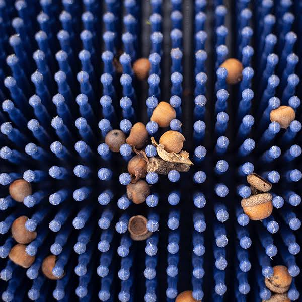 Bag-A-Nut Small Acorn Picker Upper - 36x22 Push Collector P1065