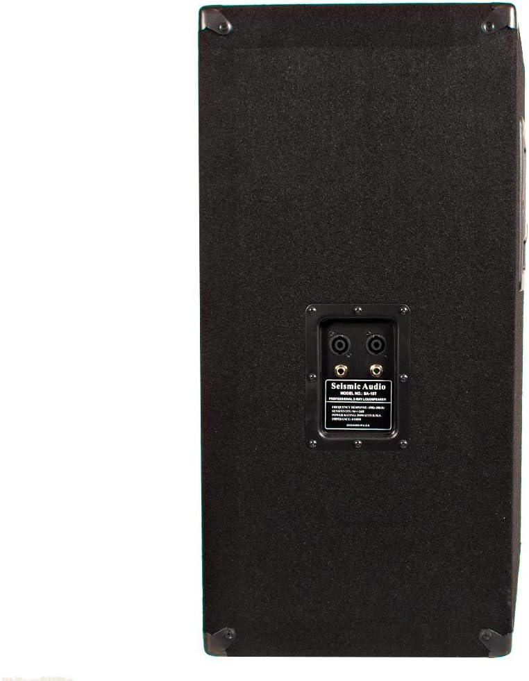 Seismic Audio SA-15T Empty 15-Inch PA/DJ Speaker Cabinet H689