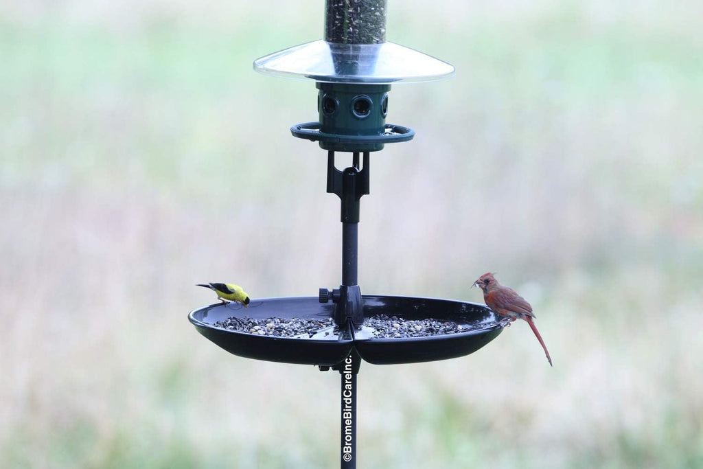 Seed Catcher Tray for Wild Bird Feeders, Fits 1-Inch Straight Pole, Pack of 2 V529