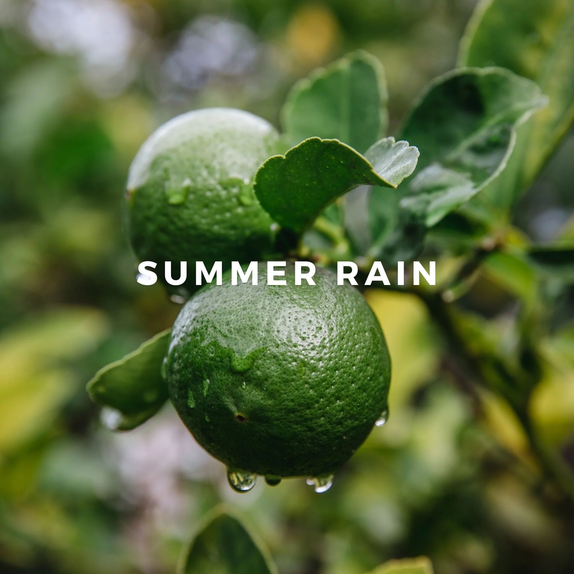 SUMMER RAIN Unisex Perfume Eau de Parfum Rollerball 0.25 fl oz K6114