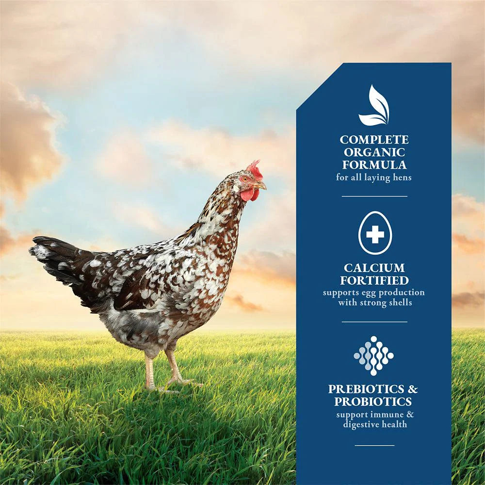 DuMOR Organic 16% Layer Pellet Chicken Feed, 40 lb. J75184