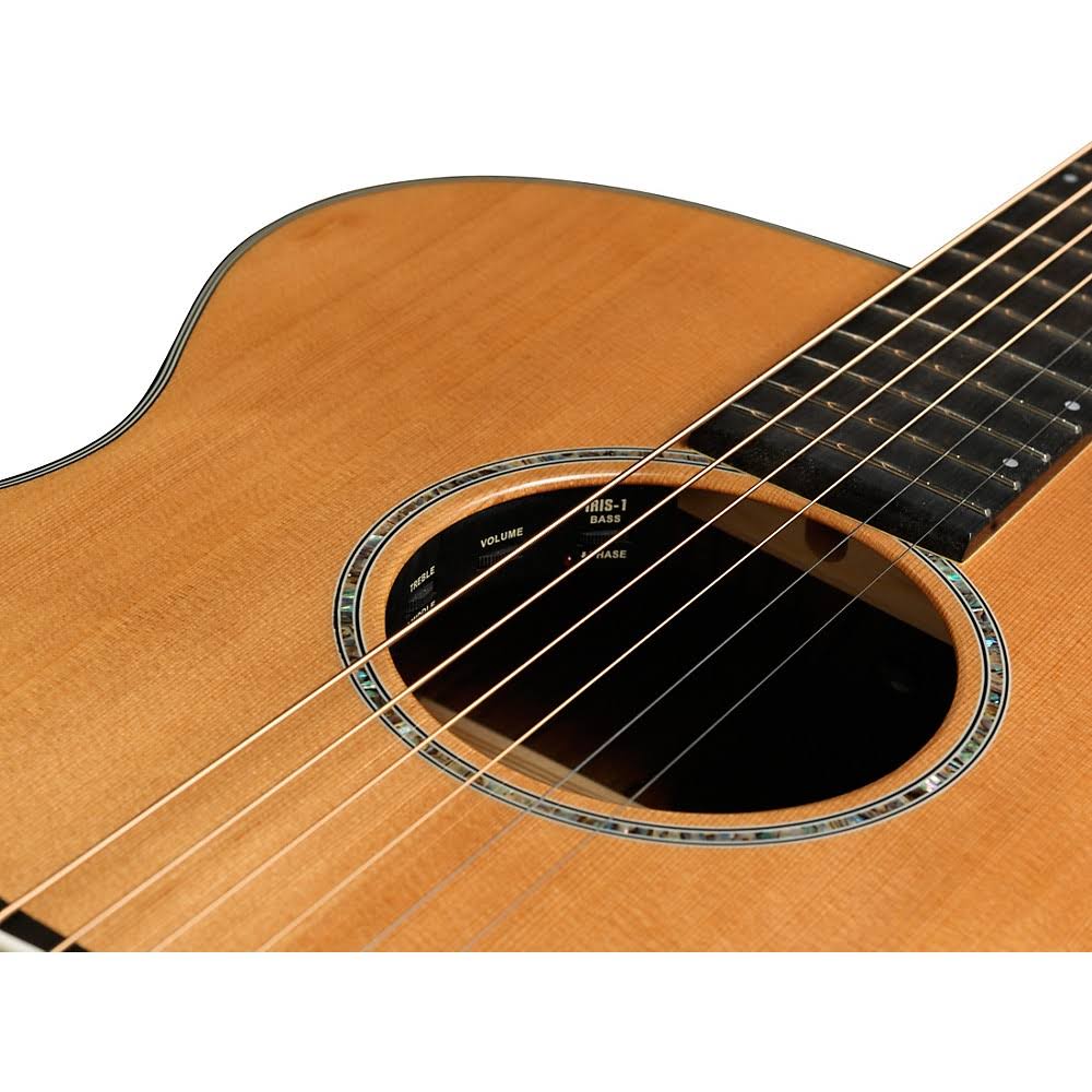 Breedlove Pursuit Concert Acoustic-Electric Guitar with Gig Bag X6951