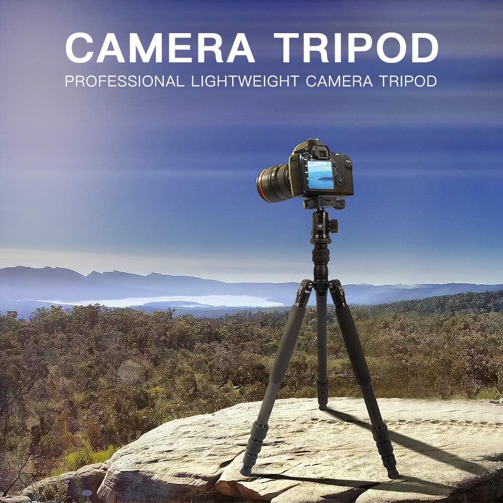 SIRUI Traveler 7C Carbon Fiber Tripod with E-10 Panorama Ball Head Z14729