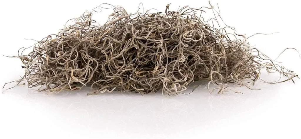 Natural Spanish Moss Preserved Ground Cover for Potted Plants by LOVA - 3 Quart Bag S45657