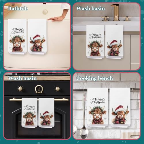 Red Cardinal Kitchen Towels 16x24 Inches F49618