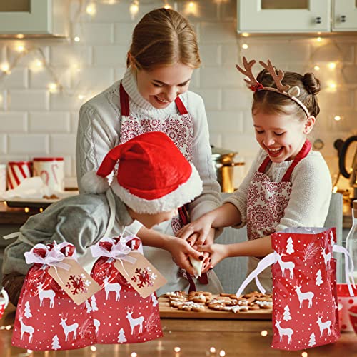 Christmas Gift Bags Assorted Sizes, 22pcs Drawstring Reusable Plastic D786