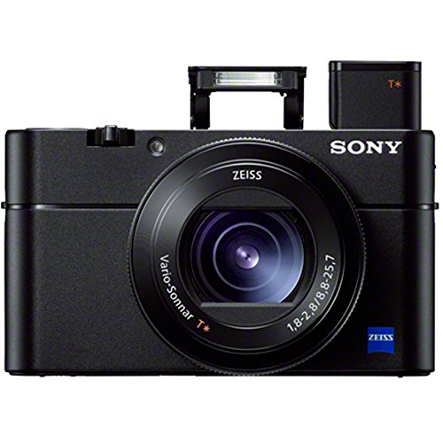 Sony Cyber-Shot DSC-RX100 V 20.1MP Digital Camera with 1" Sensor M7403