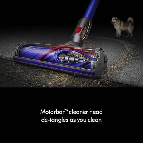 Dyson V11 Origin Cordless Vacuum, Nickel/Blue C366984
