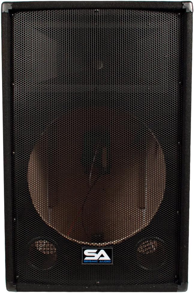 Seismic Audio SA-15T Empty 15-Inch PA/DJ Speaker Cabinet H689