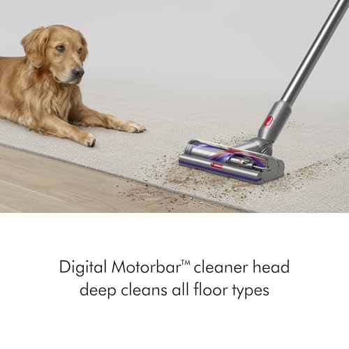 Dyson V15 Detect Plus Cordless Vacuum Yellow Nickel K953