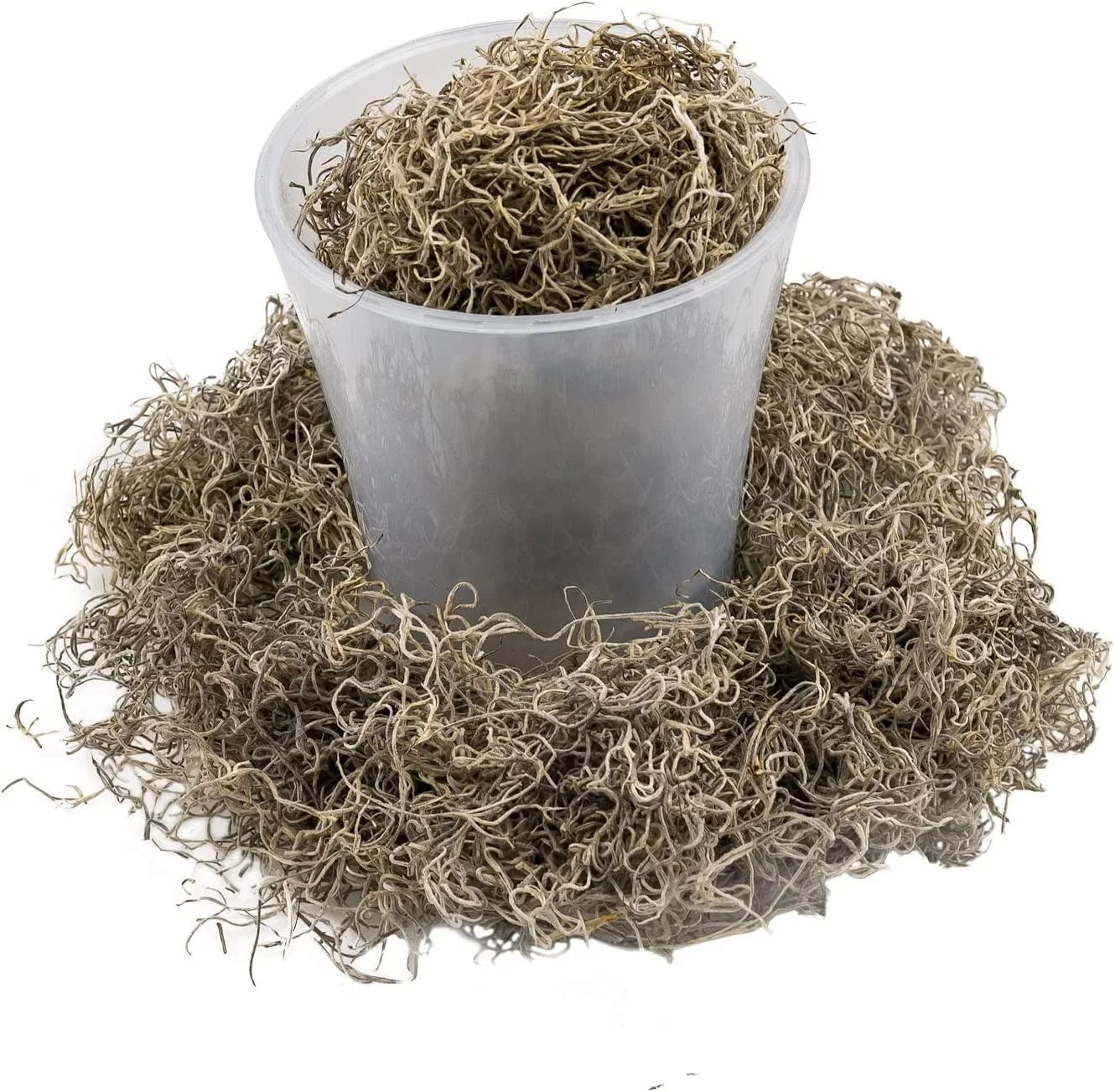 Natural Spanish Moss Preserved Ground Cover for Potted Plants by LOVA - 3 Quart Bag S45657