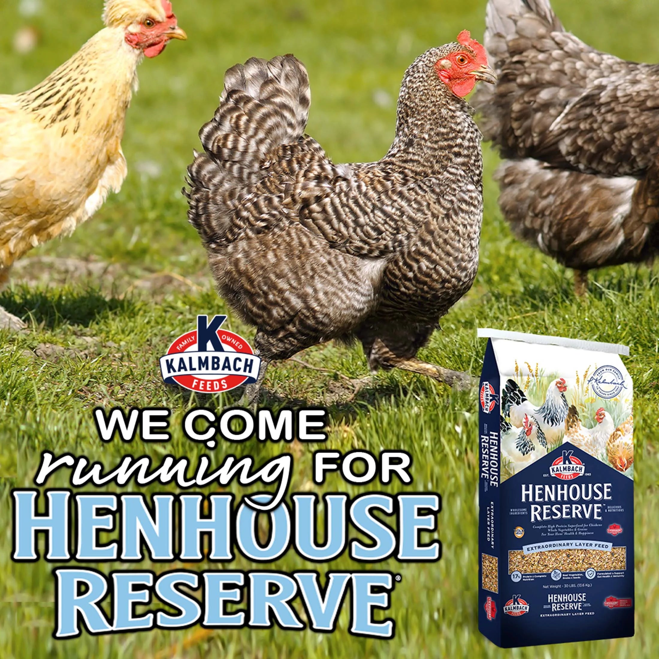 Kalmbach Feeds Henhouse Reserve Whole Grain Layer Feed for Chickens, 30 lb Y61236
