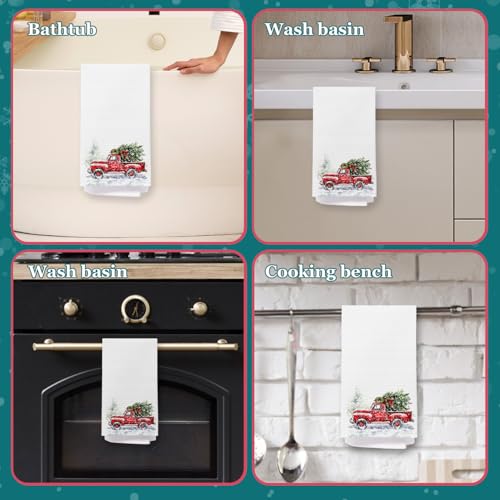 Red Cardinal Kitchen Towels 16x24 Inches F49618