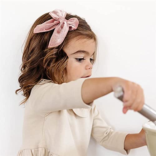 Large Velvet Fable Bow Hair Clips for Baby Girl Toddler Kids Women 12 PCS X8357
