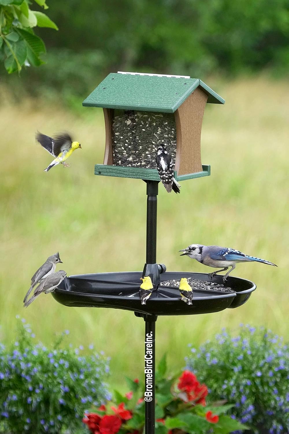 Seed Catcher Tray for Wild Bird Feeders, Fits 1-Inch Straight Pole, Pack of 2 V529