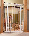 Carlson 0941PW Extra-Tall Walk-Thru Gate with Pet DOOR, White