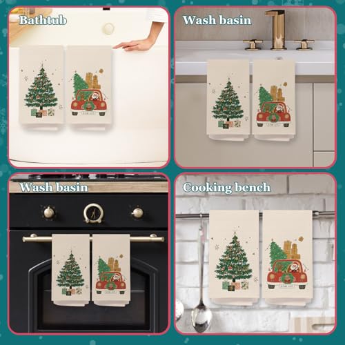 Red Cardinal Kitchen Towels 16x24 Inches F49618