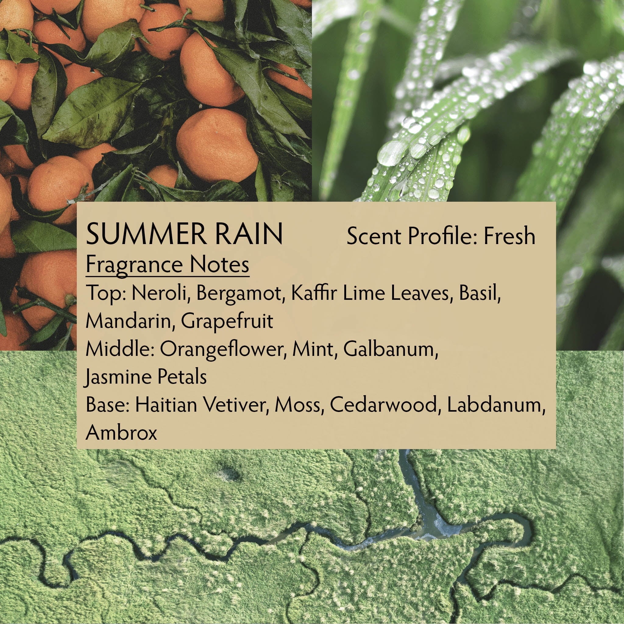 SUMMER RAIN Unisex Perfume Eau de Parfum Rollerball 0.25 fl oz K6114