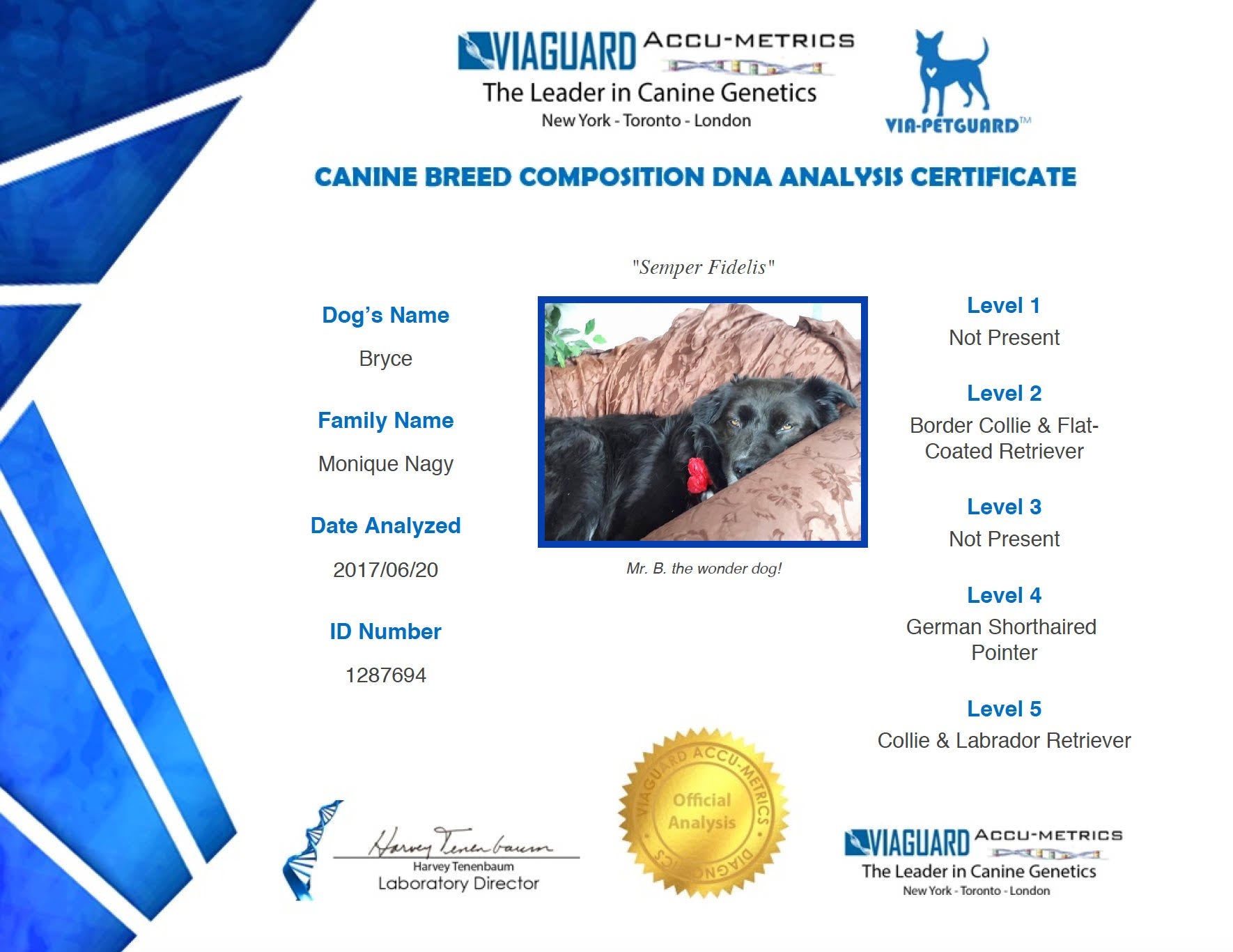 Dog DNA Canine Breed Identification Test Home Cheek Swab Kit G380
