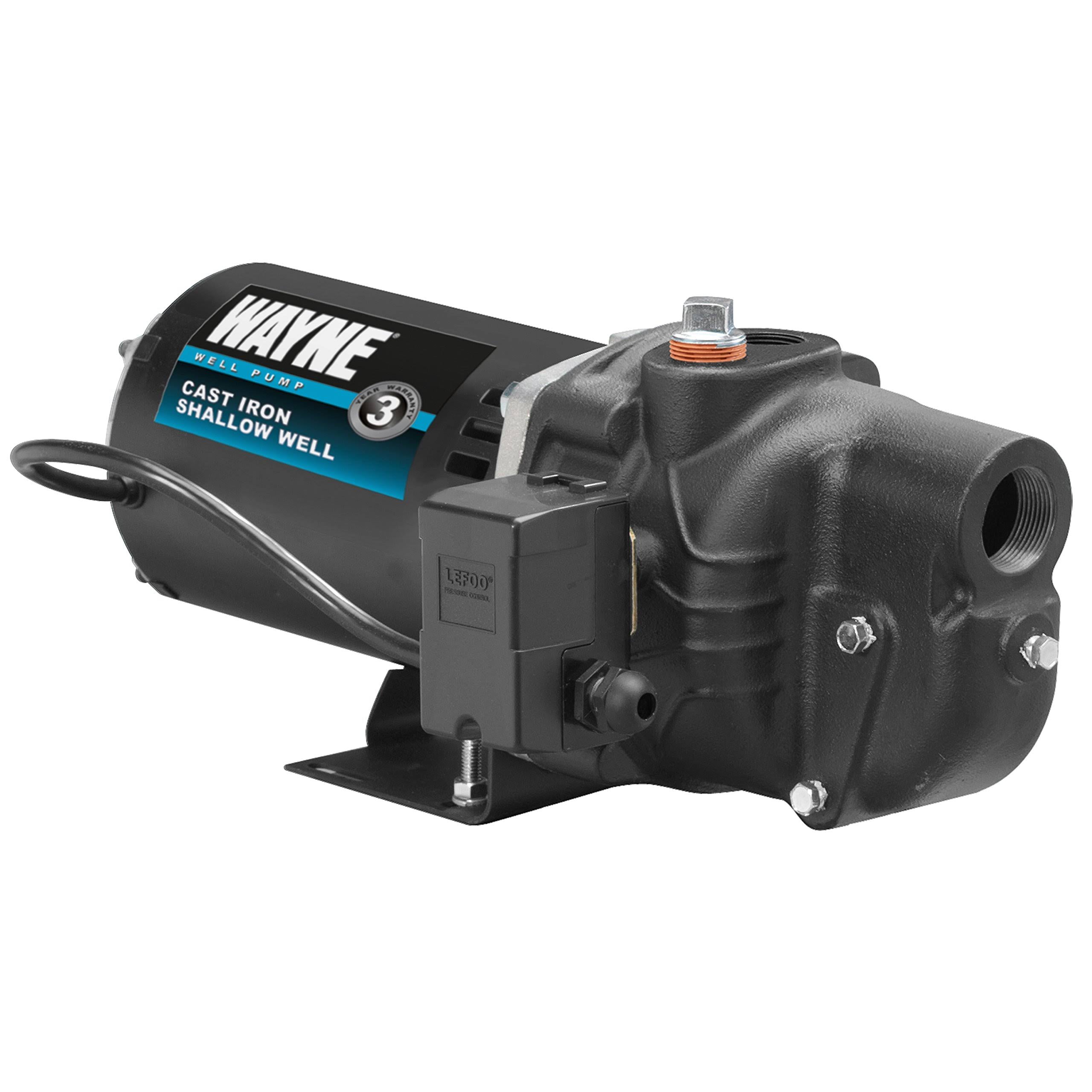 Wayne SWS100 1 HP Cast Iron Shallow Well Jet Pump