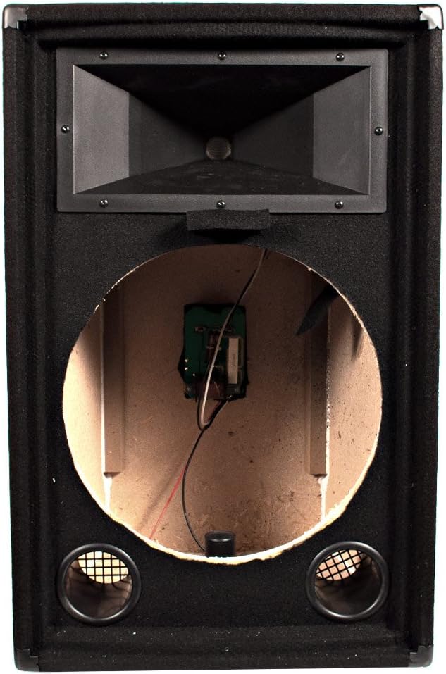 Seismic Audio SA-15T Empty 15-Inch PA/DJ Speaker Cabinet H689
