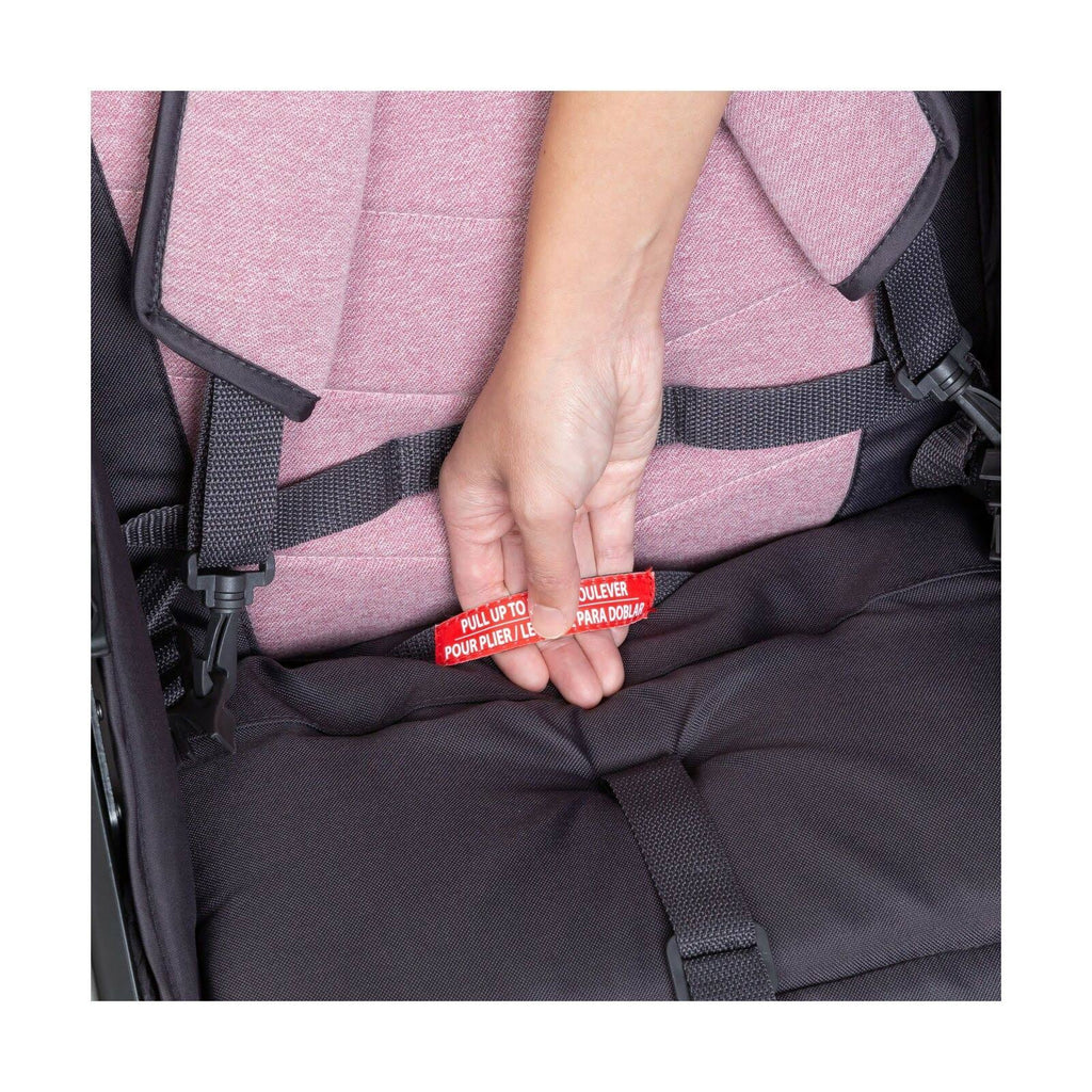 Baby Trend Tango Stroller - Cassis - Pink G903