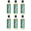 Refreshing & Moisturizing Body Shower Natural Body Wash for Women & Men Basil Scented Body Wash with Essential Oils Biodegradable & Cruelty Free, 16 Fl OZ Bottle, 6 Bottles