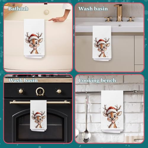 Red Cardinal Kitchen Towels 16x24 Inches F49618