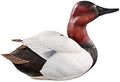 Wild Wings Alert - Canvasback Large Decoy by Sam Nottleman
