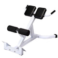 Ktaxon Heavy Duty Roman Chair - 45 Degree Hyperextension Abdomial Back Workout Bench - 5 Position Adjustments, Black
