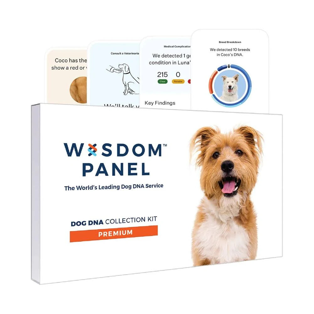 Wisdom Panel 3.0 Dog DNA Test Kit K131