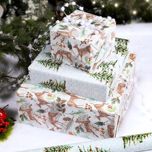 BIOBROWN Reversible Kraft Christmas Wrapping Paper Jumbo Roll 30 Inch x 33 Feet Vintage Trucks Design E340325
