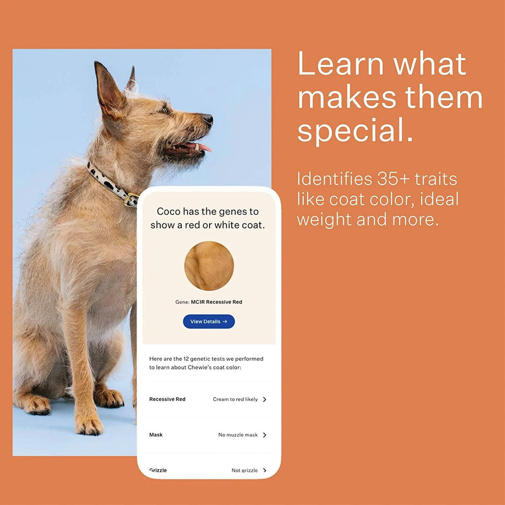 Wisdom Panel 3.0 Dog DNA Test Kit K131