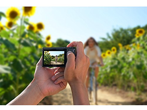 Sony Cyber-Shot DSC-RX100 V 20.1MP Digital Camera with 1" Sensor M7403