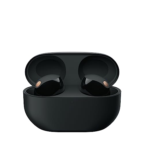Sony WF-1000XM5 Truly Wireless Noise Canceling Earbuds with Alexa, Black R15486