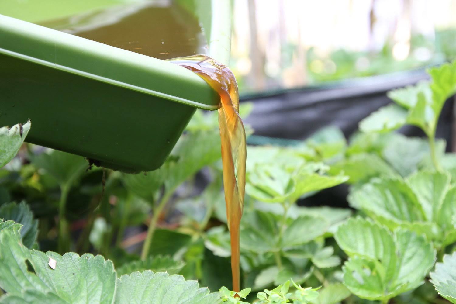 Hungry Bin Continuous Flow Worm Composter I6864