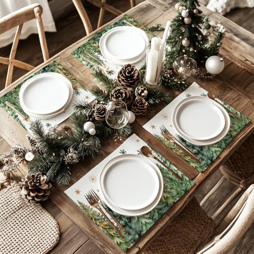GEEORY Christmas Placemats 12x18 Inch Set of 4, Green Q397