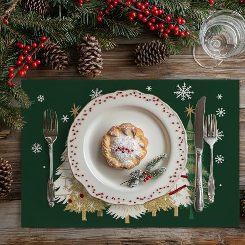GEEORY Christmas Placemats 12x18 Inch Set of 4, Green Q397