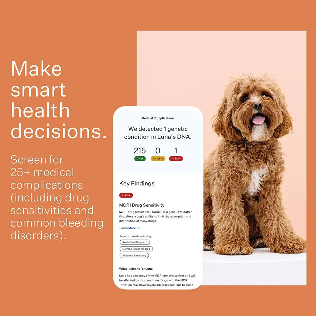 Wisdom Panel 3.0 Dog DNA Test Kit K131