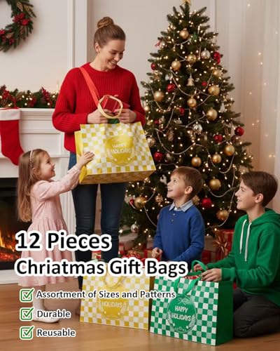 Christmas Gift Bags Assorted Sizes 12PC with Handles, Heavy Duty Non-Woven T61434