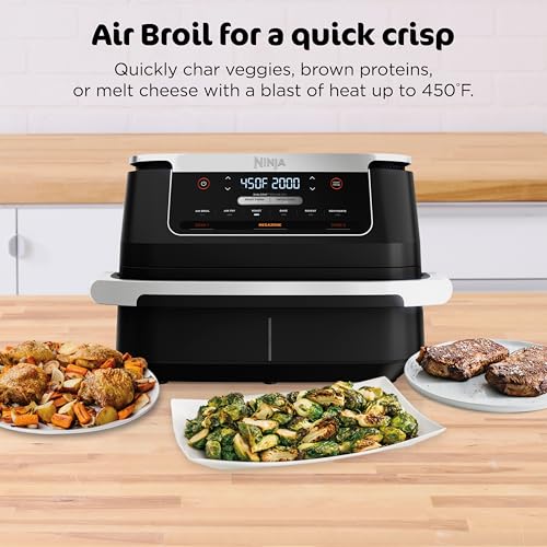Ninja DZ401 Foodi 10 Quart DualZone XL 2-Basket Air Fryer, Grey L260