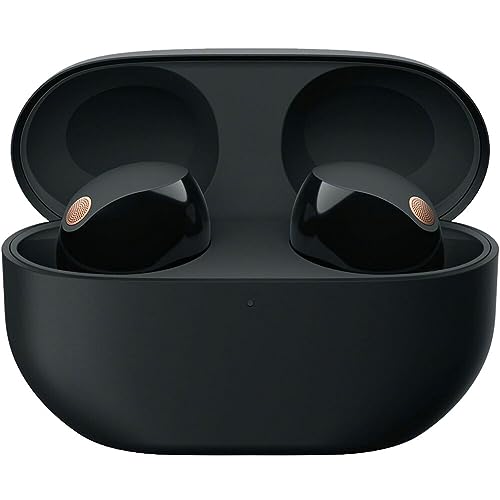 Sony WF-1000XM5 Wireless Noise Canceling Earbuds with Voice, Black N643069