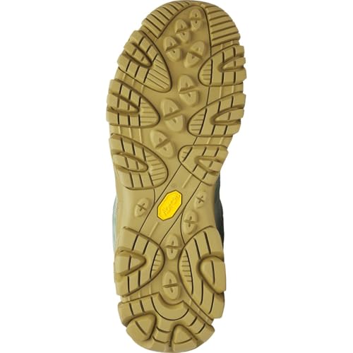 Merrell Men's Moab 3 Hiking Shoe D339